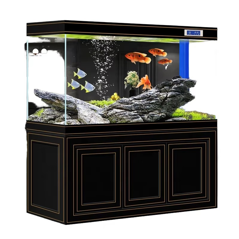 Aquarium Fish Dragon - Aquarium für Wohnzimmer und Zuhause, Superklares