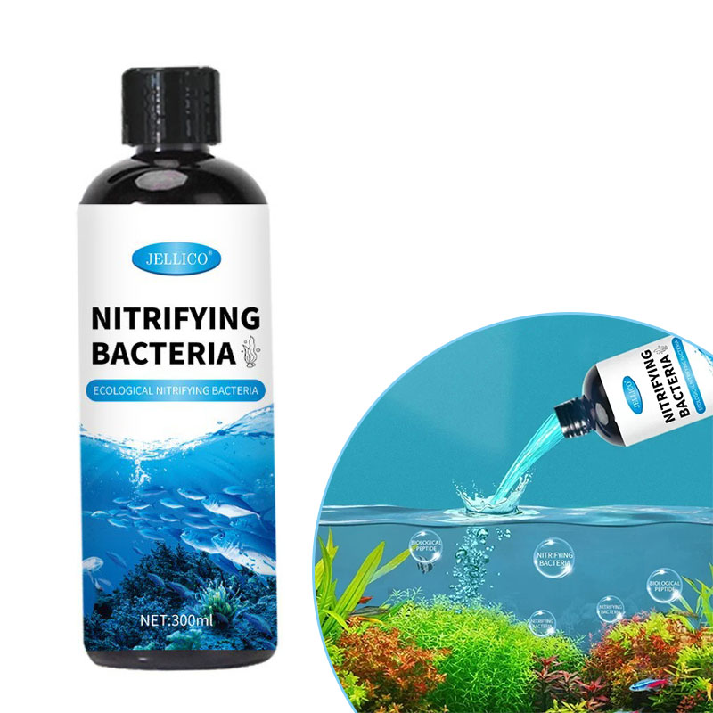 Aquarium Fish Farm - Nitrifizierende Bakterien Flüssiges Aquarium Wasserreiniger Aquarium
