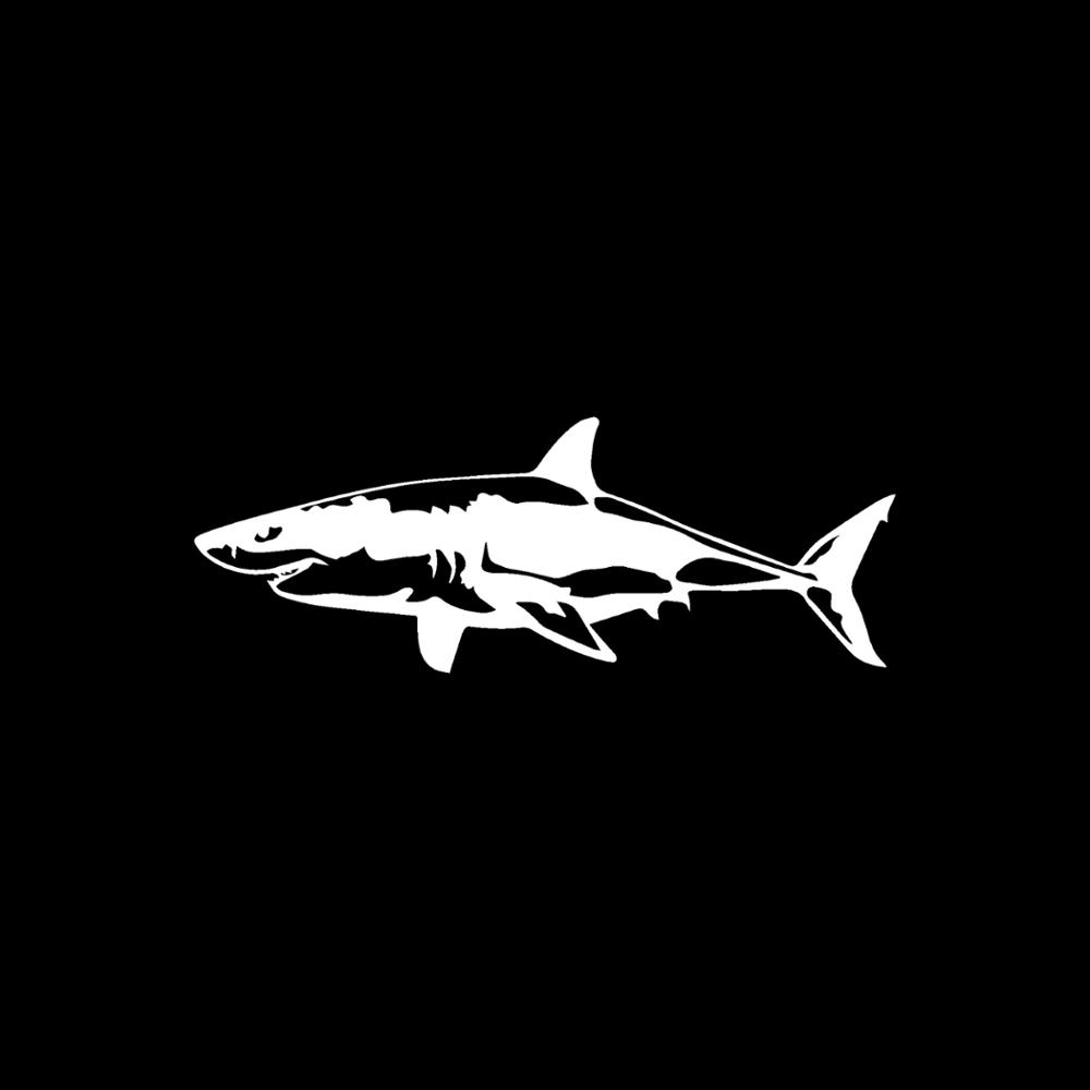 Jpct interessanter toller weiß – Aquarium Fish Shark Bewertung und Preis