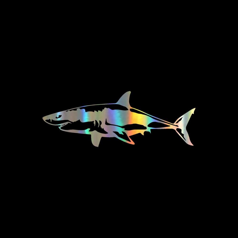 Jpct interessanter toller weiß – Aquarium Fish Shark Bewertung und Preis