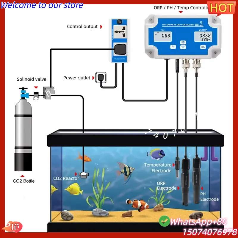 2026 Kabelloser WiFi Online-St – Aquarium Fish In Online Bewertung und Preis
