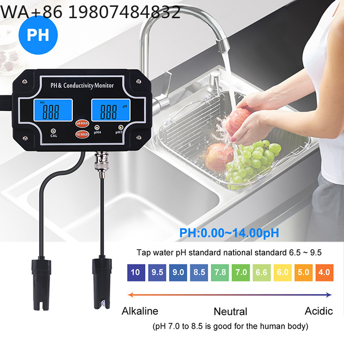 Kontinuierlicher Wasserqualitä – Aquarium Fish In Online Bewertung und Preis