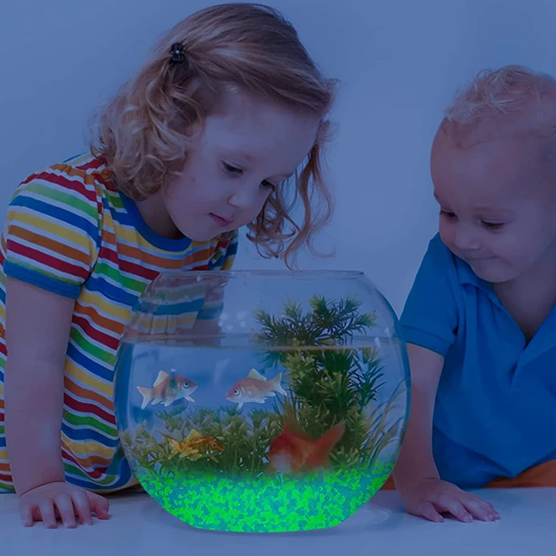 1000 Stück 3–5 mm leuchtender  – Aquarium Fish Farm Bewertung und Preis