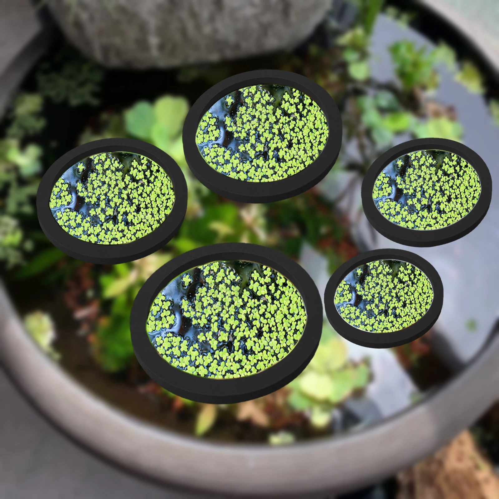 5Pcs EVA Fisch Fütterung Ring  – Aquarium Fish Farm Bewertung und Preis