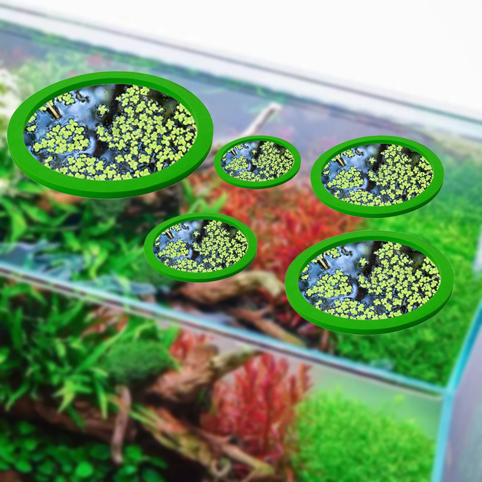 5Pcs EVA Fisch Fütterung Ring  – Aquarium Fish Farm Bewertung und Preis
