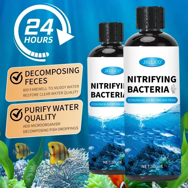 Nitrifizierende Bakterien Flüs – Aquarium Fish Farm Bewertung und Preis