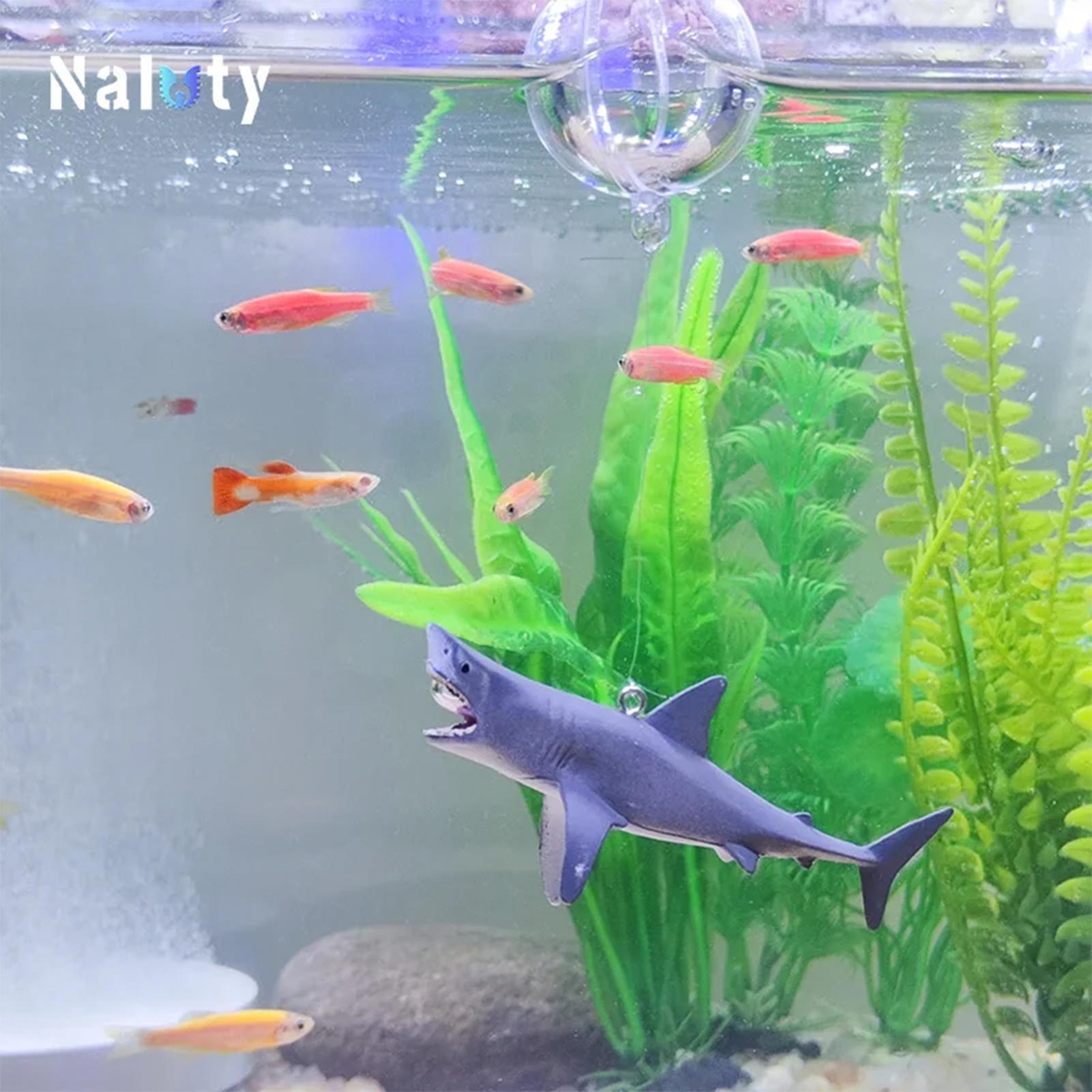 Schwimmende Hai-Aquarium-Lands – Aquarium Fish Shark Bewertung und Preis