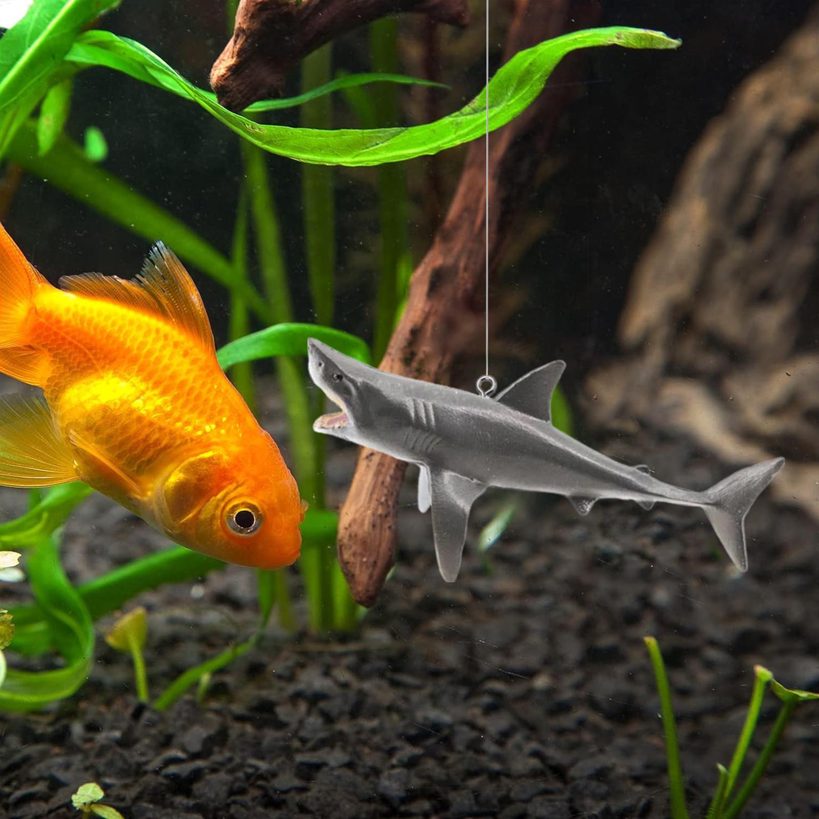 Schwimmende Hai-Aquarium-Lands – Aquarium Fish Shark Bewertung und Preis