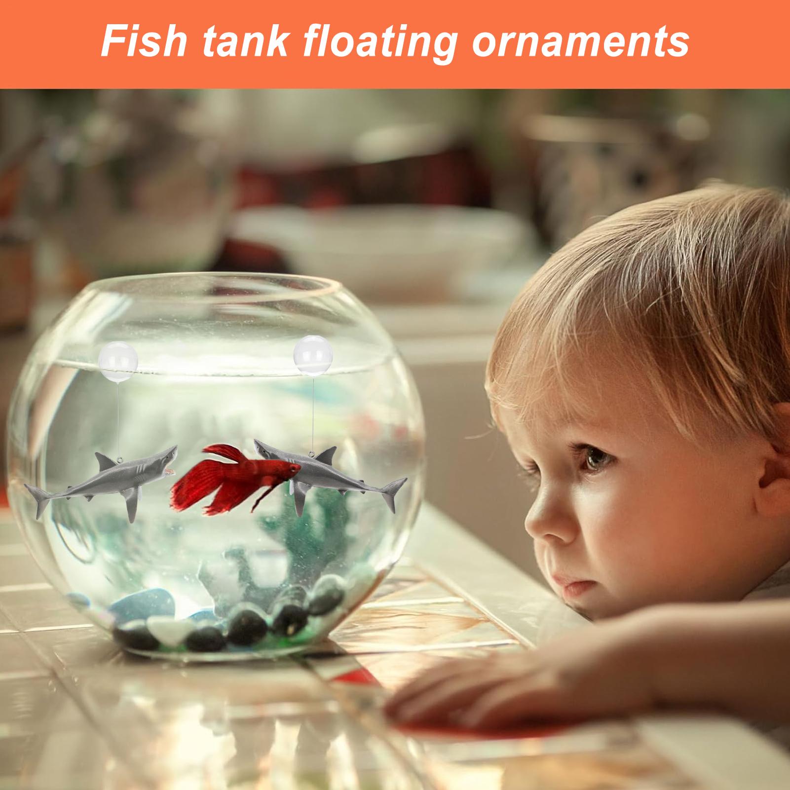 Schwimmende Hai-Aquarium-Lands – Aquarium Fish Shark Bewertung und Preis