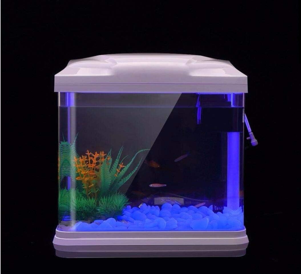 Aquarium-Felsen leuchten blaue – Aquarium Fish Farm Bewertung und Preis