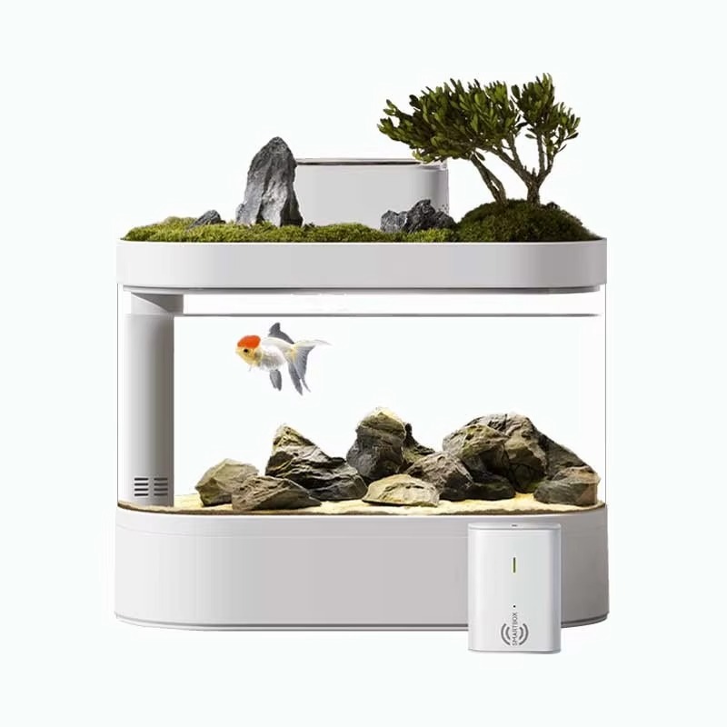 Desktop Smart Aquarium Fischbe – Aquarium Fish Feeder Automatic Bewertung und Preis
