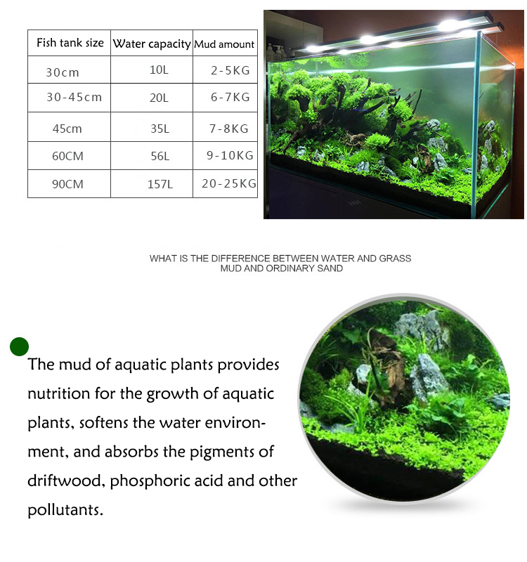 Aquarium Pflanzen Samen Boden  – Aquarium Fish Farm Bewertung und Preis