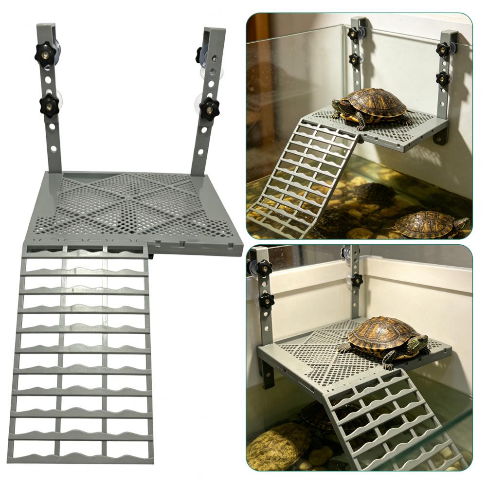 Aquarium-Dekoration: Feste Hän – Aquarium Fish Farm Bewertung und Preis