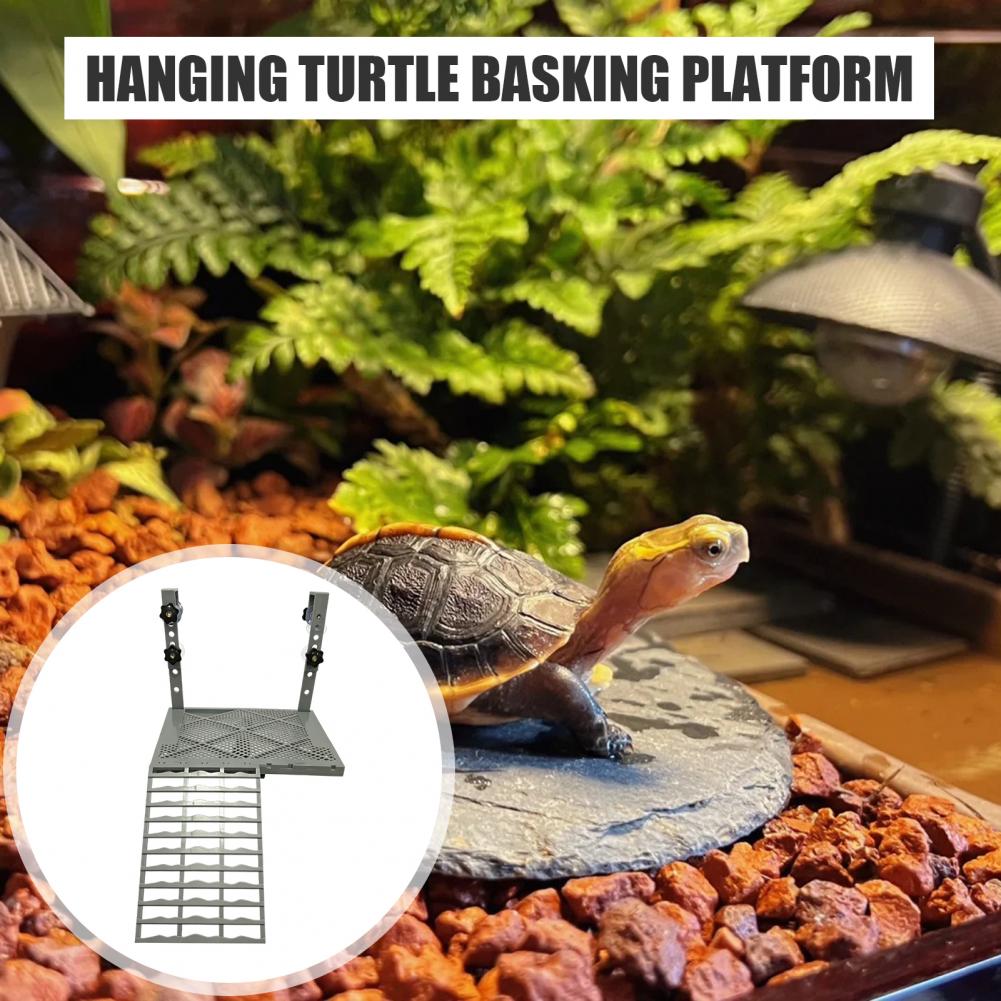 Aquarium-Dekoration: Feste Hän – Aquarium Fish Farm Bewertung und Preis