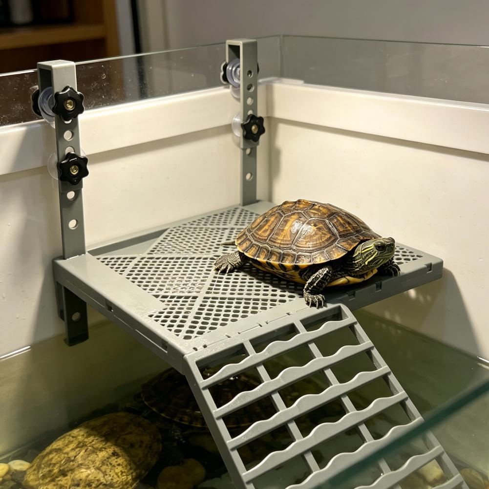 Aquarium-Dekoration: Feste Hän – Aquarium Fish Farm Bewertung und Preis