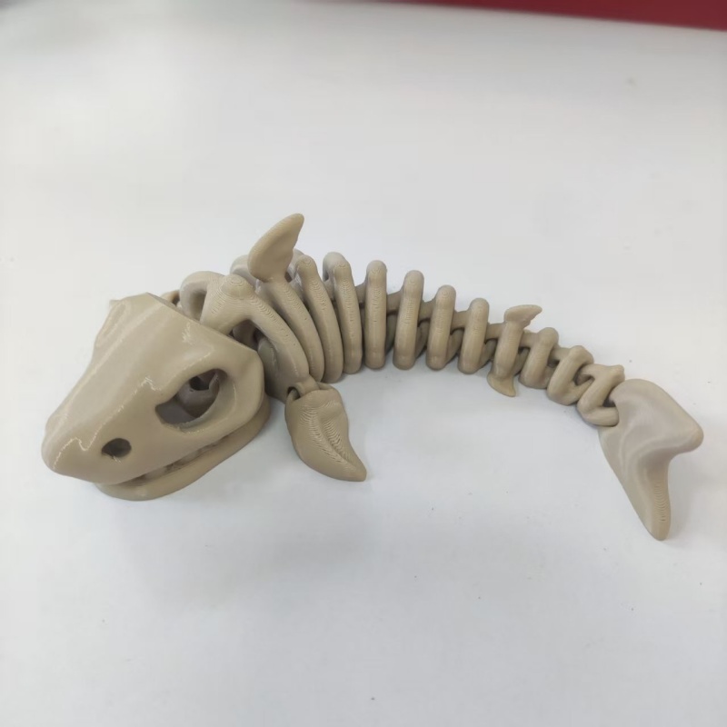 17 cm großes Haifisch-Skelett  – Aquarium Fish Shark Bewertung und Preis